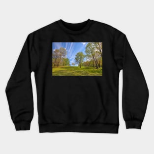 Meadowlark Sky Gardens Crewneck Sweatshirt